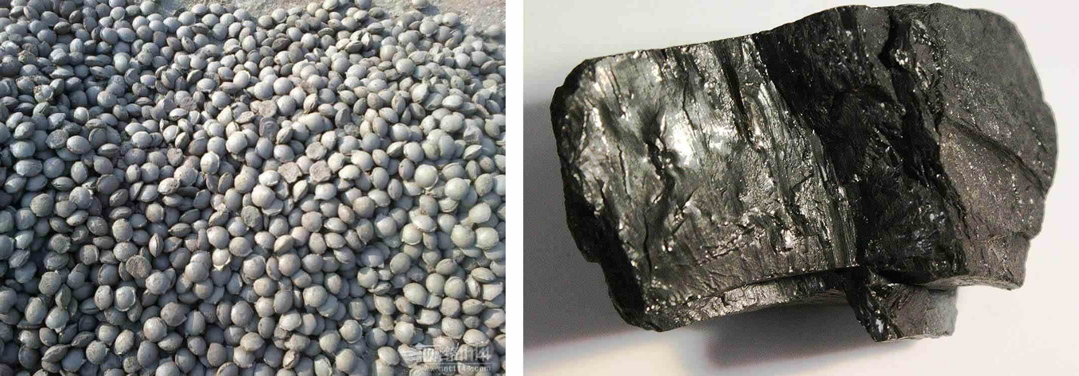 coal briquettes